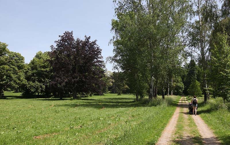 Park okolo zámku Konopiště